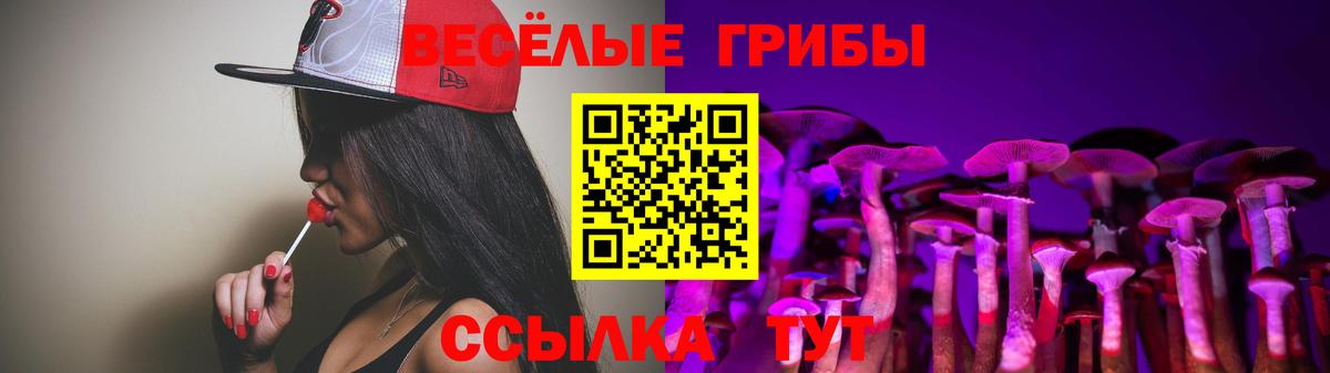 Галлюциногенные грибы Psilocybe  Галлюциногенные грибы Psilocybe  Вход с VPN  Заволжье 